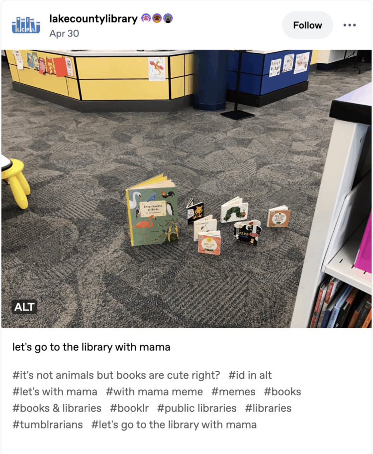 (alt text by @lakecountylibrary) An oversized book about birds propped open and upright on the floor of a library. It is trailed by several very small board books, also open and stood upright, so they look like a line of ducklings following the mama book. A bright yellow desk with children's drawings taped to it is visible in the background, as well as the corner of a bookshelf in the foreground and a small child-sized plastic stool - indicators that we are in the youth department of a library.